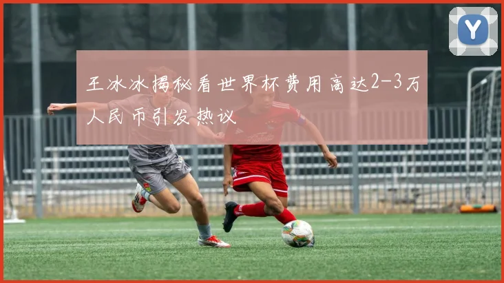 王冰冰揭秘看世界杯费用高达2-3万人民币引发热议